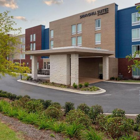 Springhill Suites By Marriott Suwanee Johns Creek Екстер'єр фото